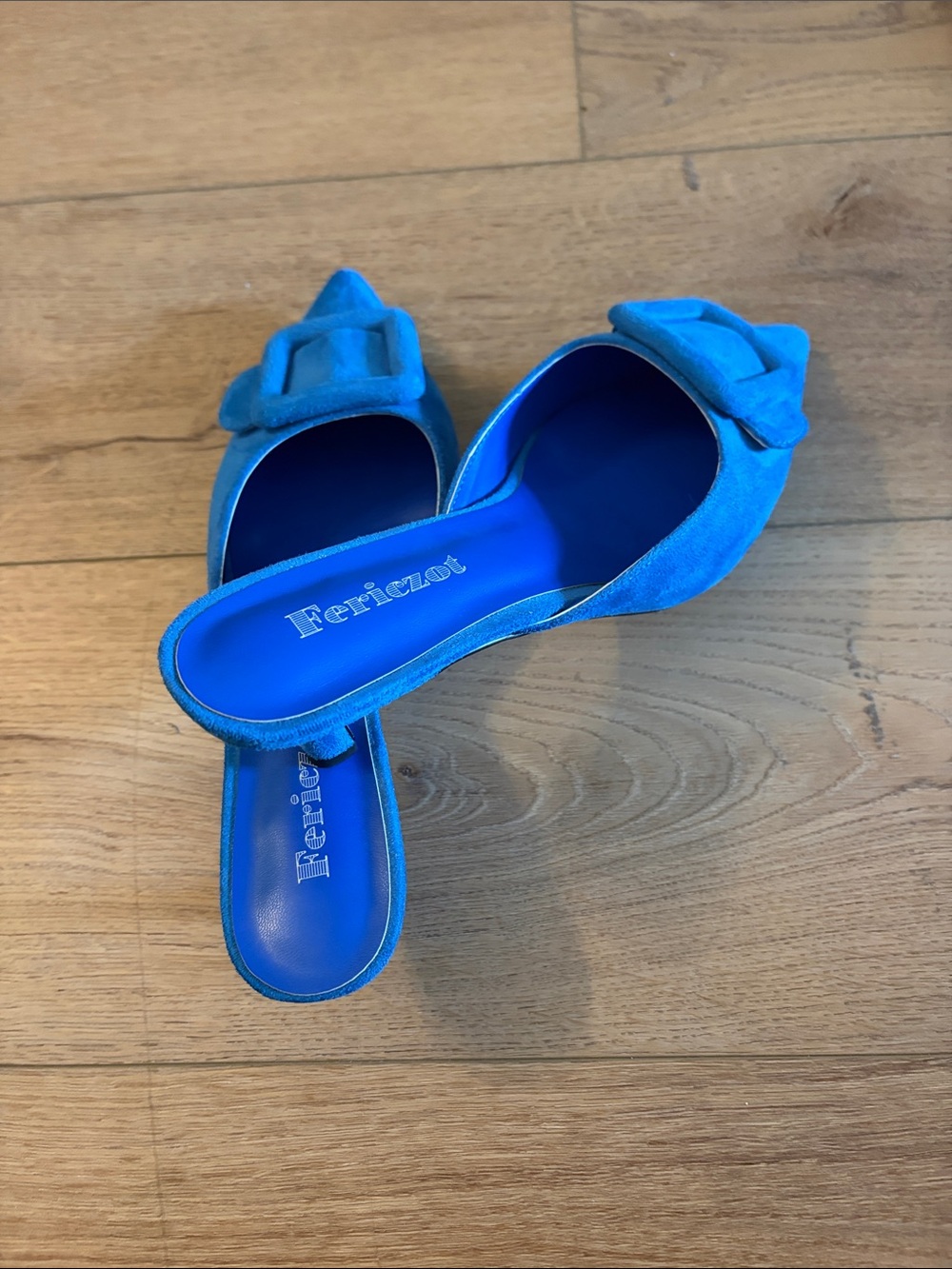 Riccio Electric Blue Suede Pointed Slide Mules with Buckle